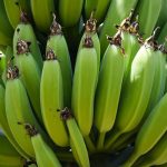 Bananele verzi au proprietăți anticancerigene
